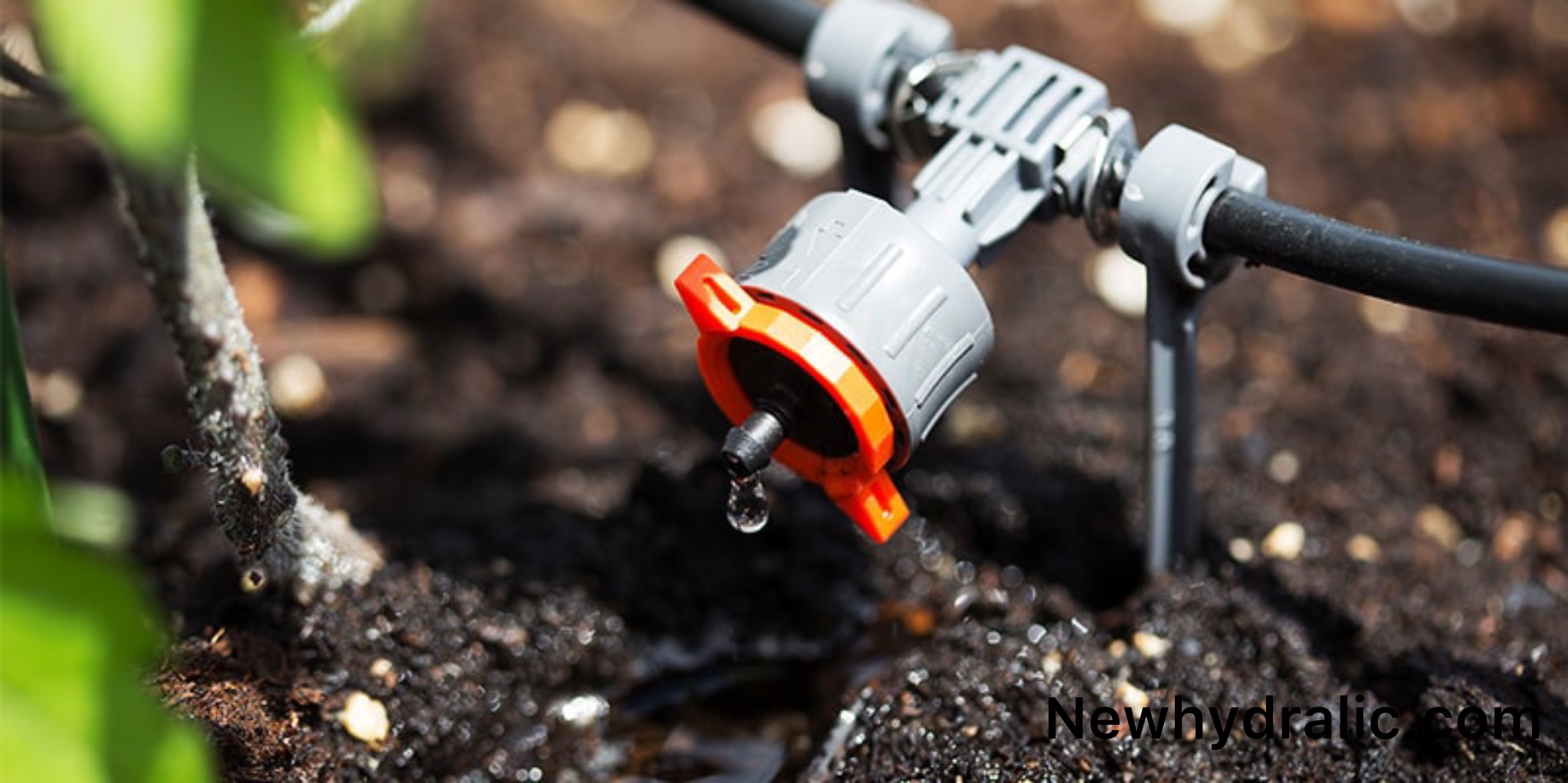 راهنمای خرید بهترین شلنگ آبیاری قطره‌ ای