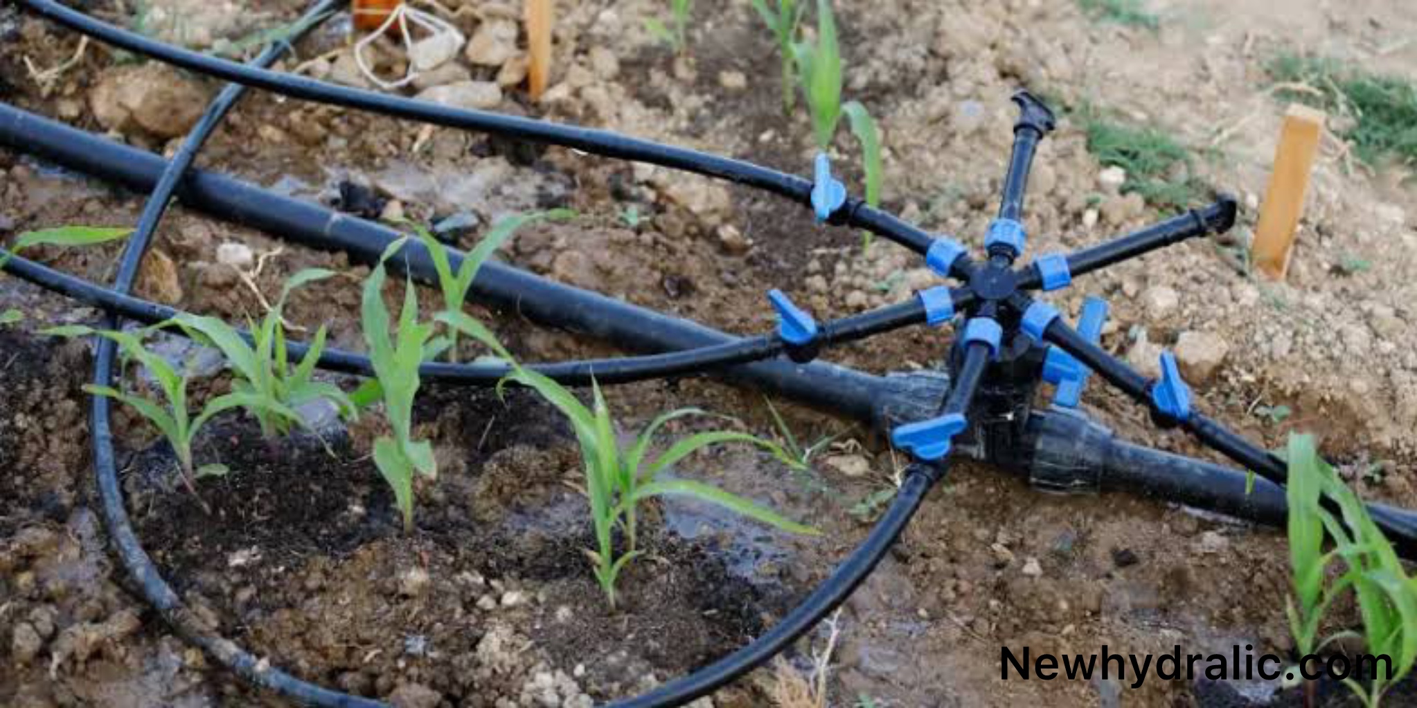 ۷ اشتباه رایج که عمر شیلنگ آب شما را کوتاه می‌کند!