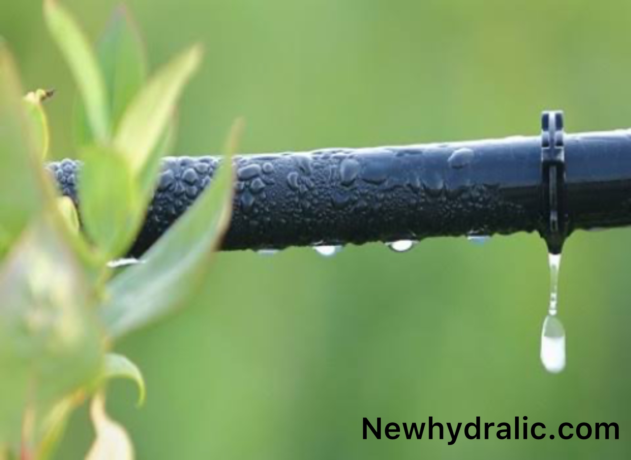 ۷ اشتباه رایج که عمر شیلنگ آب شما را کوتاه می‌کند!